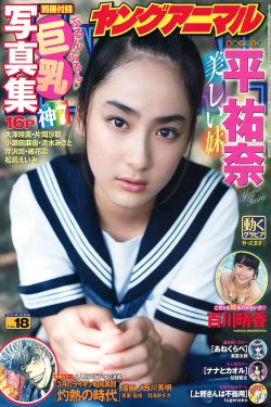 不期而至电视剧全集